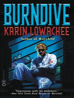 cover image of Burndive